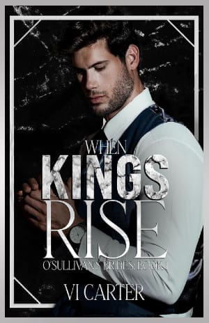 When Kings Rise by Vi Carter Cover