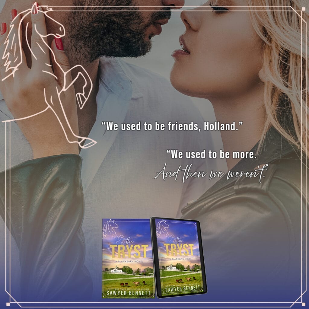 The Tryst by Sawyer Bennett Teaser We Used To Be Friends