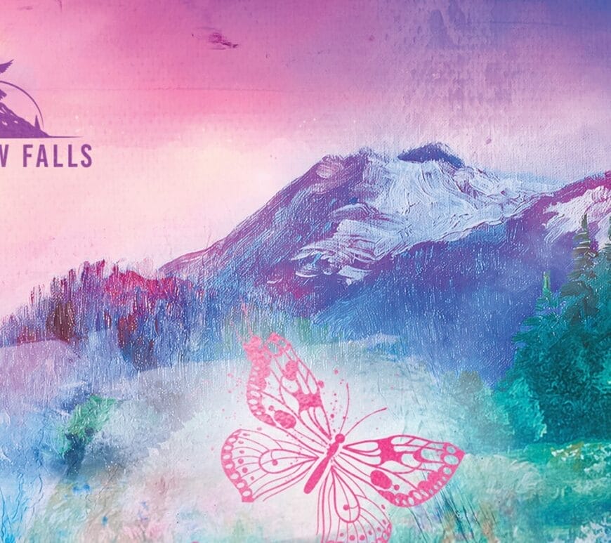 Chasing Shelter by Catherine Cowles Banner