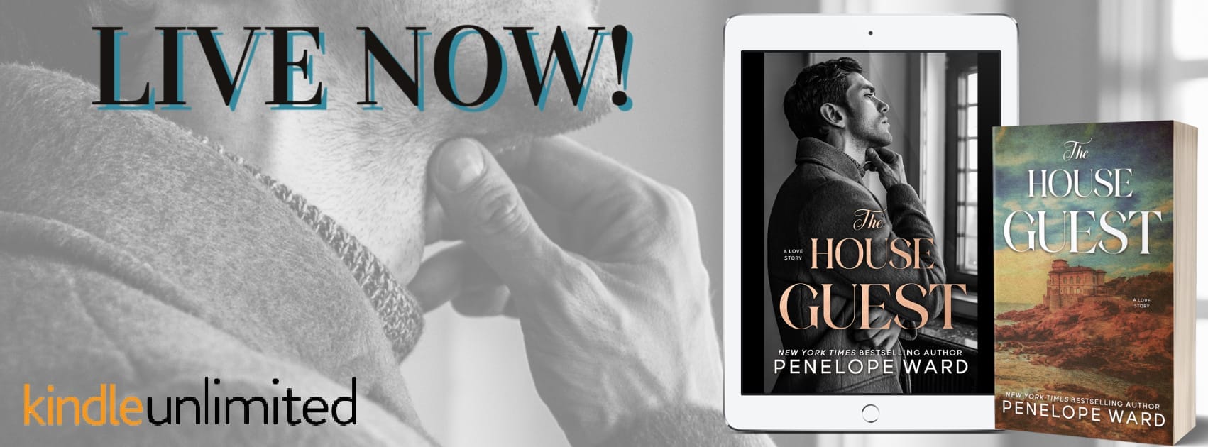 The House Guest by Penelope Ward Banner
